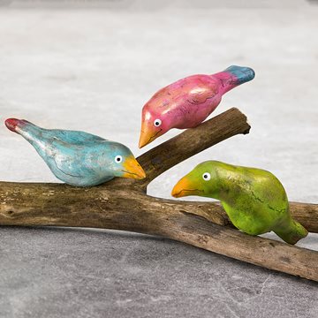 Färgglada fåglar